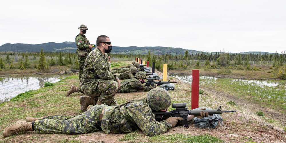 Exercise AMALGAM DART 21-1