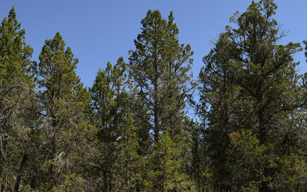 173rd FW joins forces with Klamath Search and Rescue Team in simulated exercise
