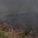 Sierra Fire: Camp Pendleton