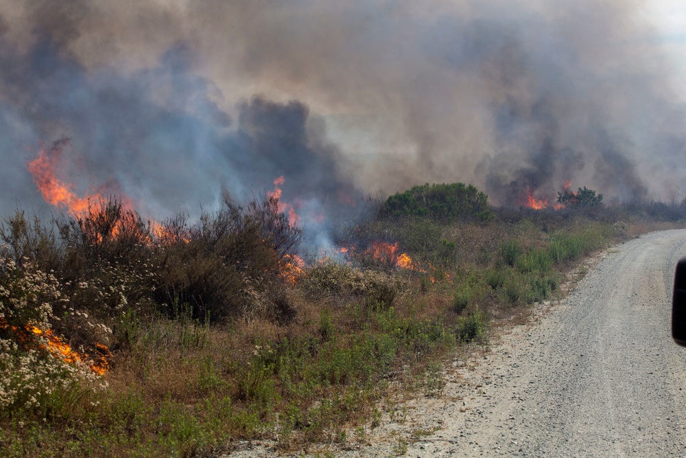 Sierra Fire: Camp Pendleton