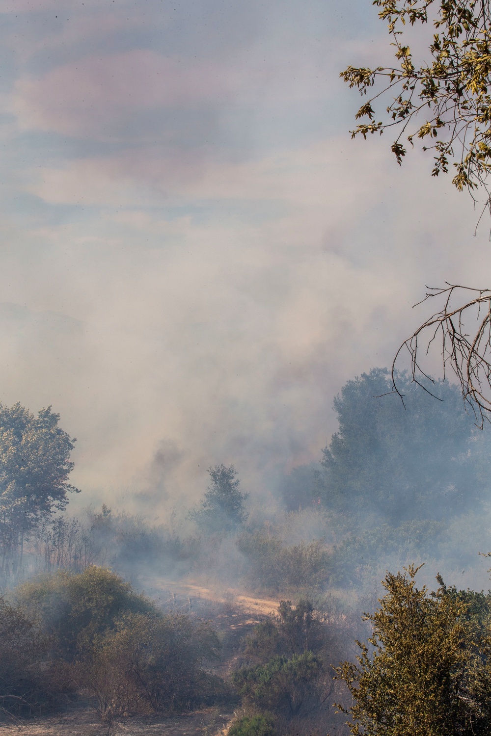 Sierra Fire: Camp Pendleton