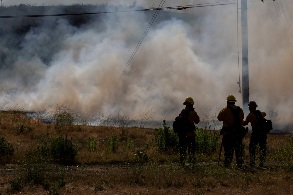 Sierra Fire: Camp Pendleton