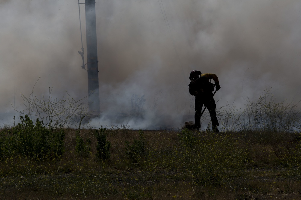 Sierra Fire: Camp Pendleton