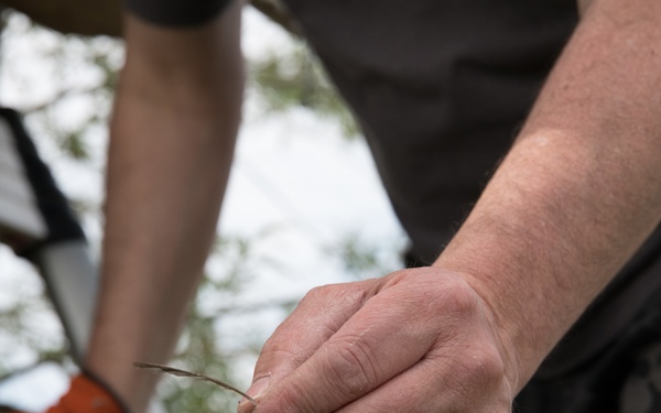 Protected Birds Banding 2021