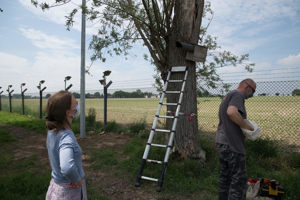 Protected Birds Banding 2021