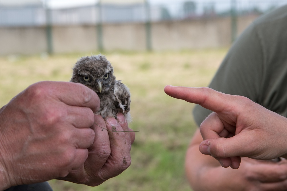 Protected Birds Banding 2021