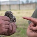 Protected Birds Banding 2021