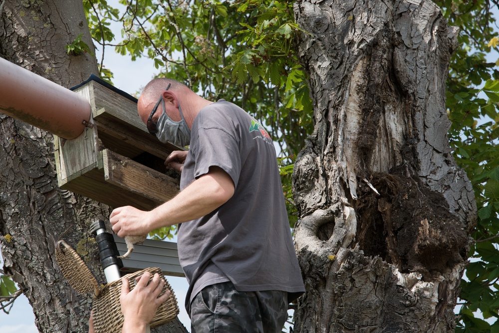 Protected Birds Banding 2021