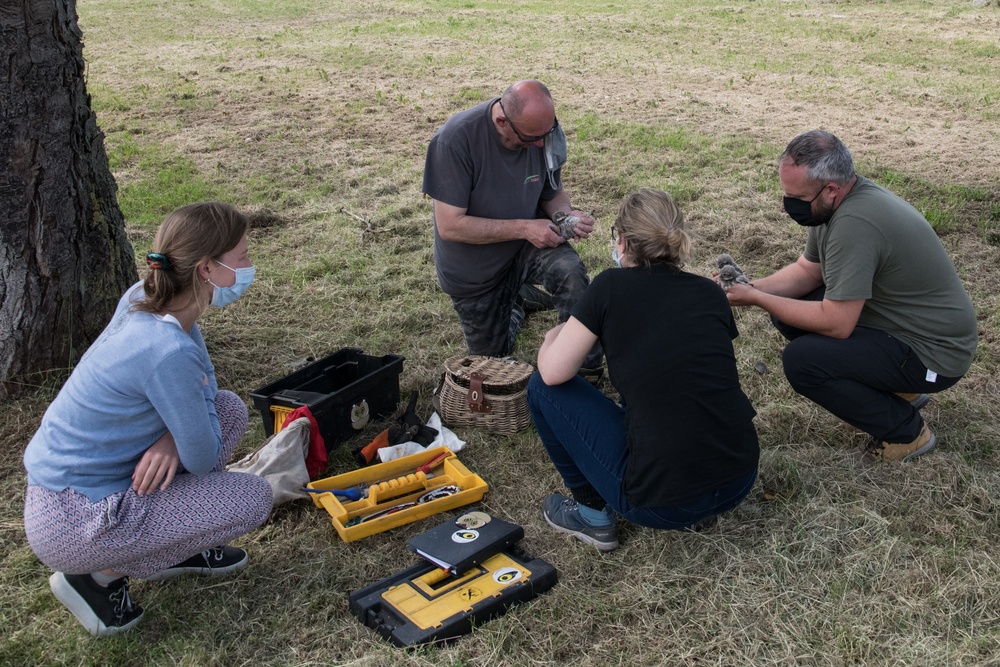 Protected Birds Banding 2021