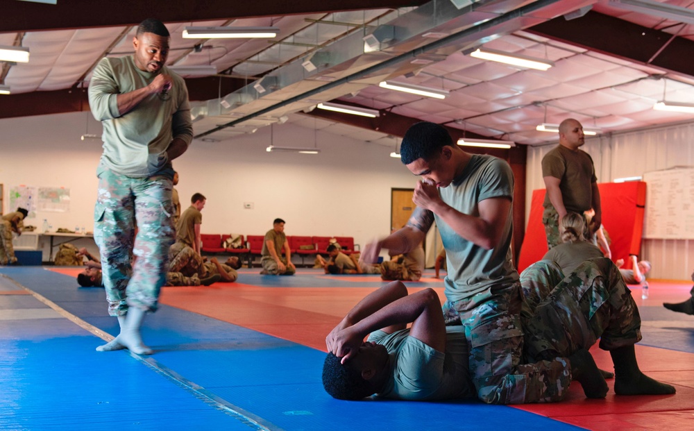 Security Forces combatives training
