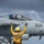 USS Ronald Reagan (CVN 76) Flight Operations USS Ronald Reagan (CVN 76) Flight Operations