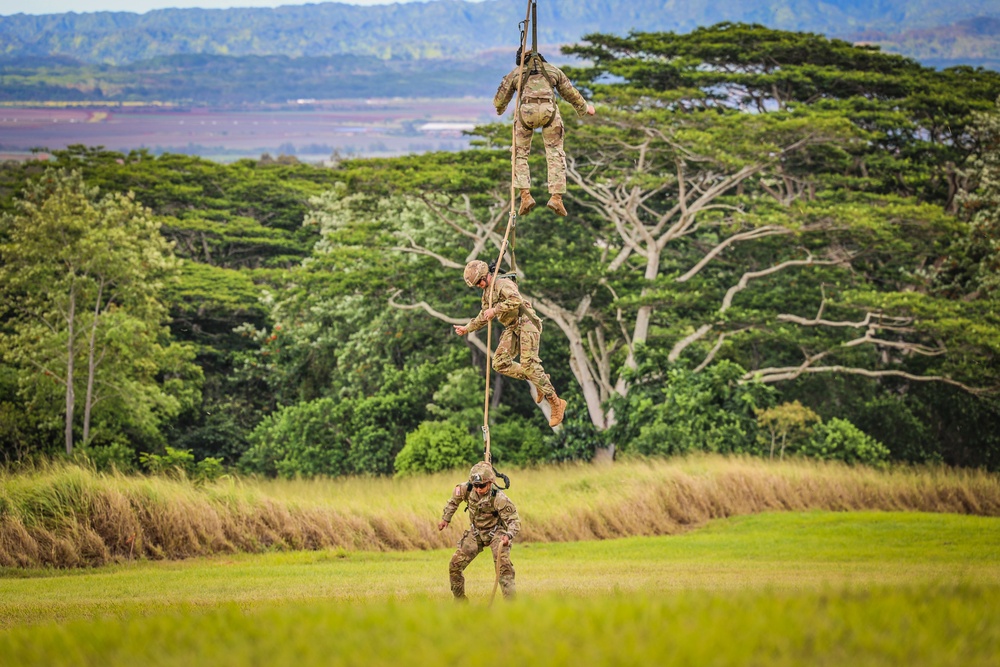 FRIES/SPIES Master Course - 25th Infantry Division Lightning Academy