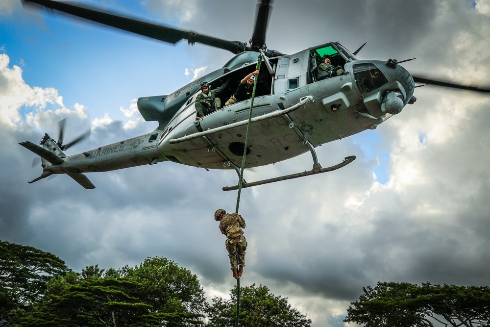 FRIES/SPIES Master Course - 25th Infantry Division Lightning Academy