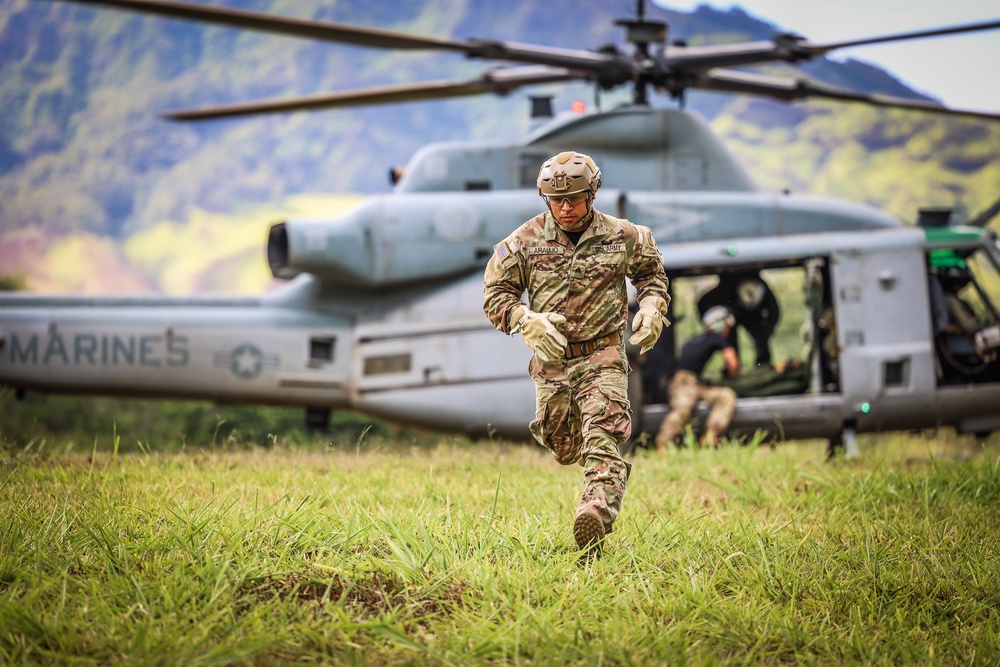 FRIES/SPIES Master Course - 25th Infantry Division Lightning Academy