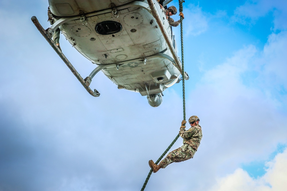 FRIES/SPIES Master Course - 25th Infantry Division Lightning Academy