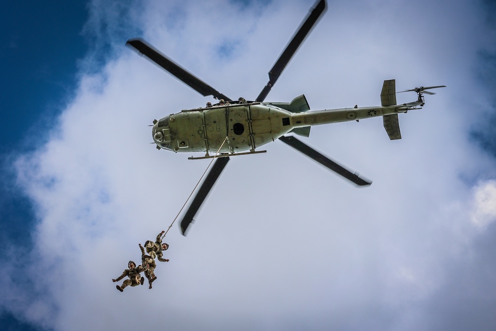 FRIES/SPIES Master Course - 25th Infantry Division Lightning Academy