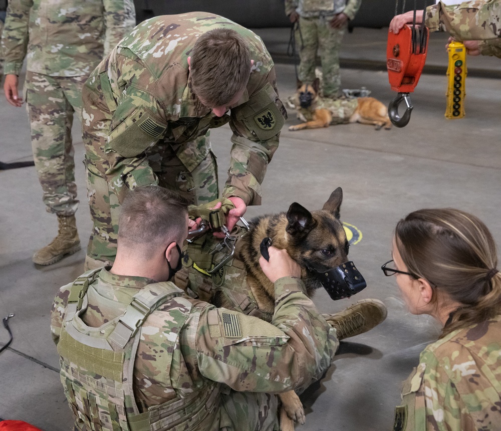 C/7-158 trains MWD Handlers How to Conduct Medevac Hoist