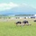 Black Lions train at the base of Mt. Fuji