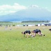 Black Lions train at the base of Mt. Fuji