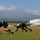 Black Lions train at the base of Mt. Fuji