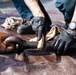 USS Sioux City Sailor Conducts Maintenance on Anchor Chain While in Port