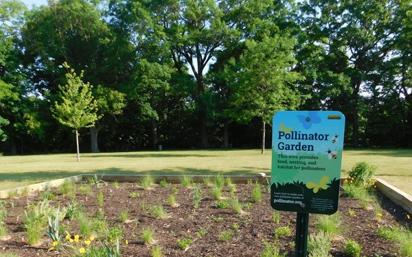 Pollinator Garden