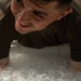 Ice Bucket