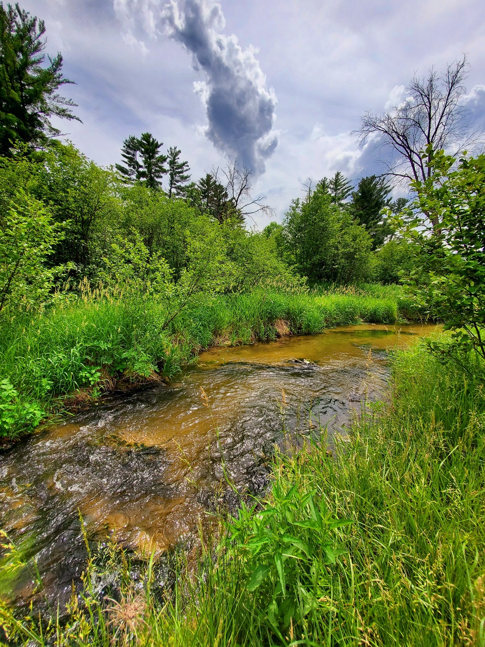 Fort McCoy's Tarr Creek