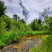 Fort McCoy's Tarr Creek