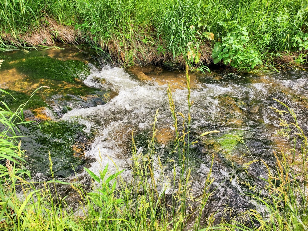 Fort McCoy's Tarr Creek