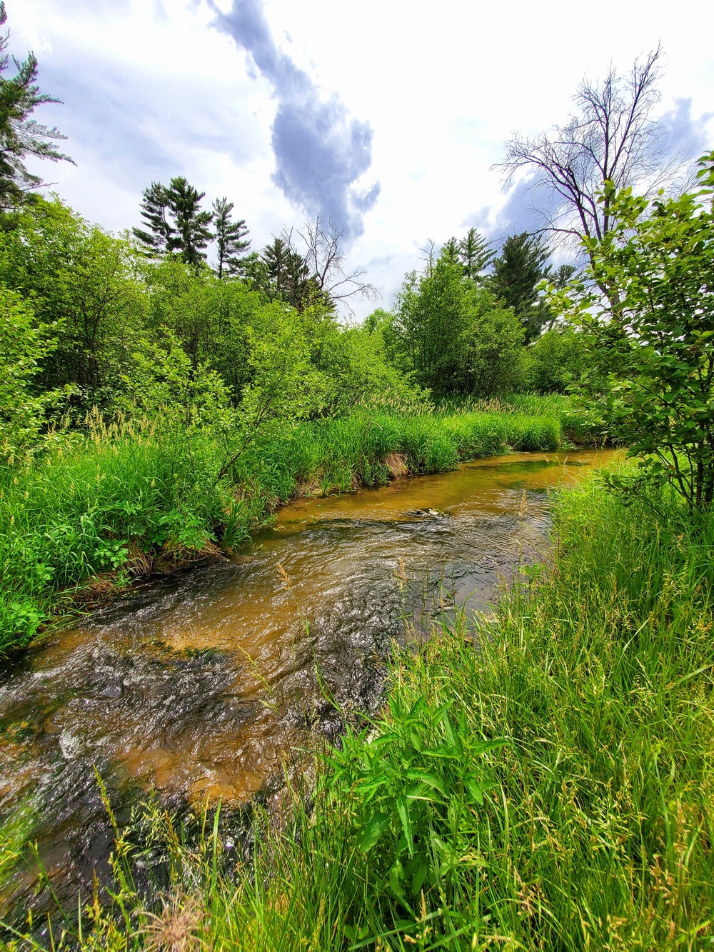 Fort McCoy's Tarr Creek