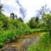 Fort McCoy's Tarr Creek