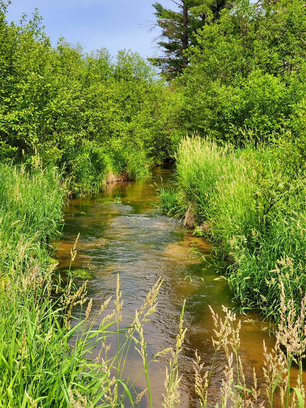 Fort McCoy's Tarr Creek
