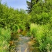 Fort McCoy's Tarr Creek