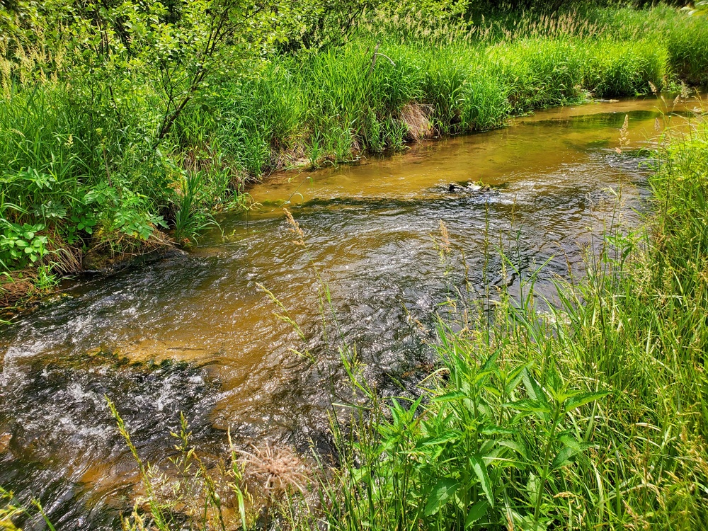 Fort McCoy's Tarr Creek