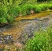 Fort McCoy's Tarr Creek