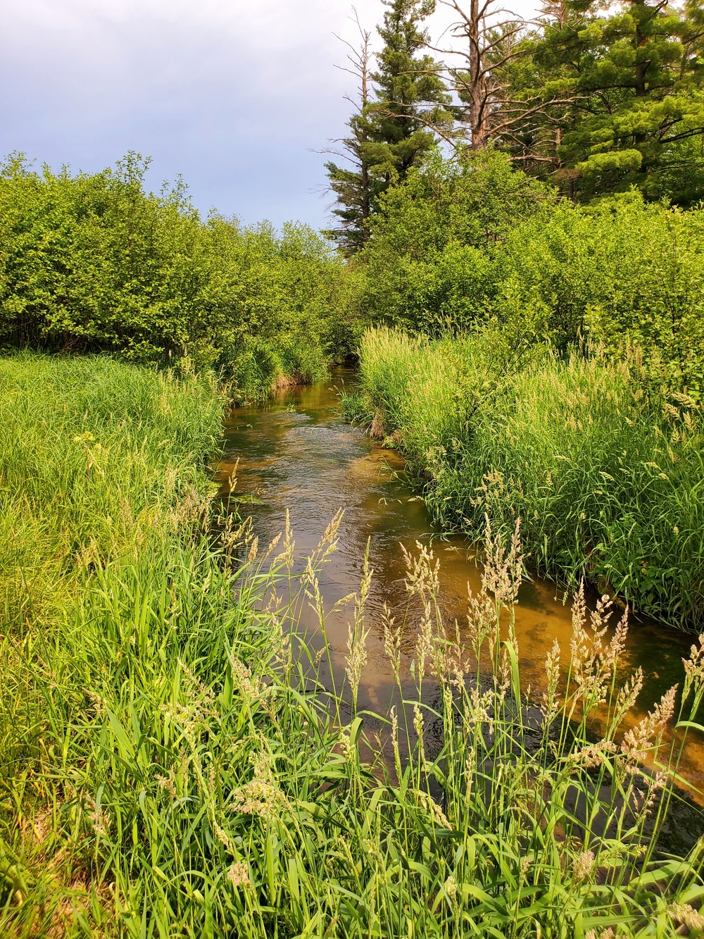 Fort McCoy's Tarr Creek