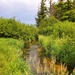 Fort McCoy's Tarr Creek