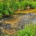 Fort McCoy's Tarr Creek