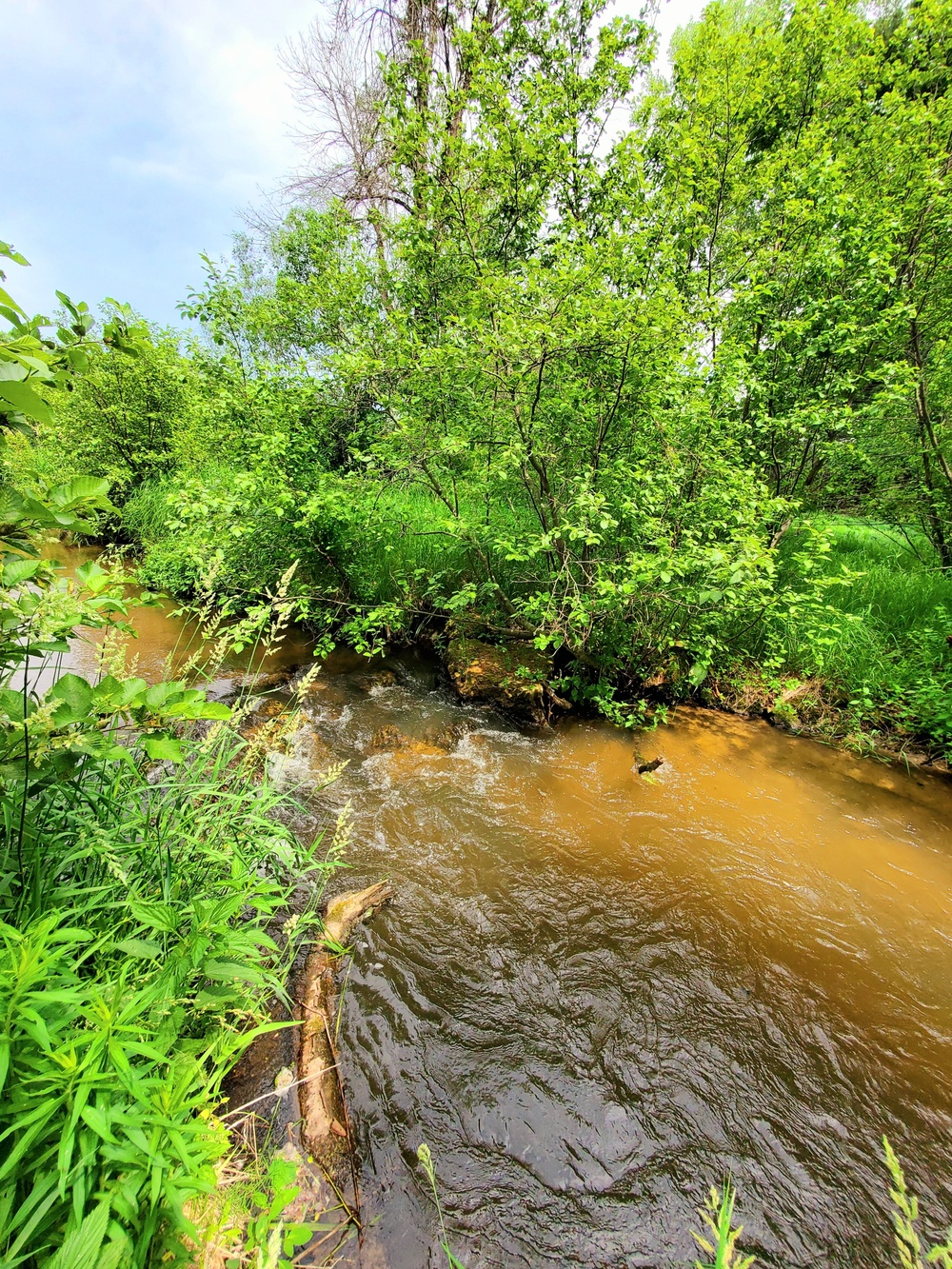 Fort McCoy's Tarr Creek