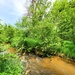 Fort McCoy's Tarr Creek