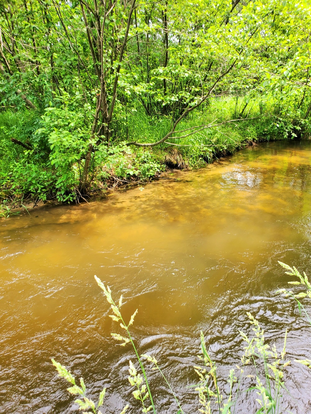Fort McCoy's Tarr Creek
