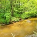 Fort McCoy's Tarr Creek