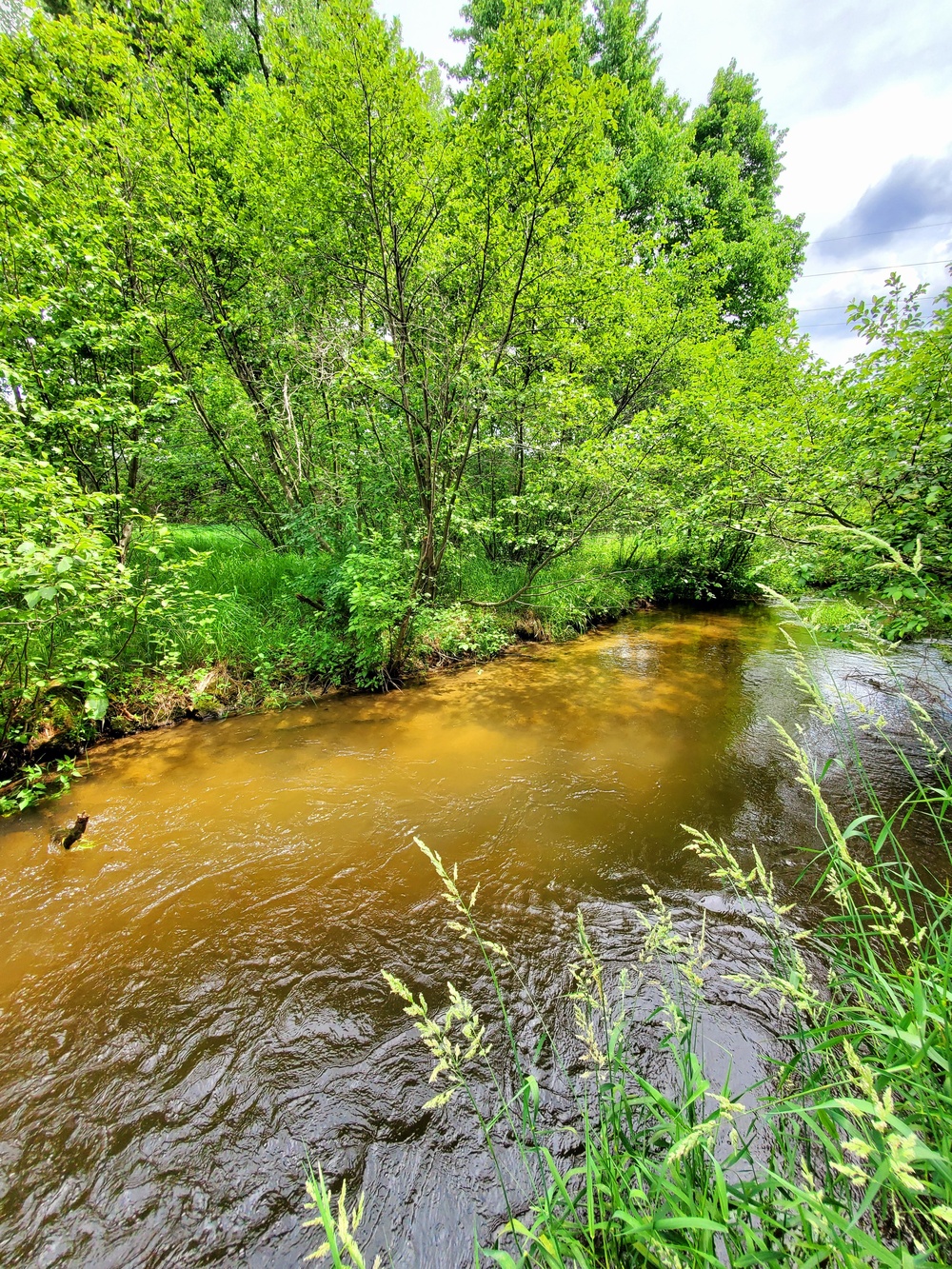 Fort McCoy's Tarr Creek