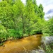 Fort McCoy's Tarr Creek