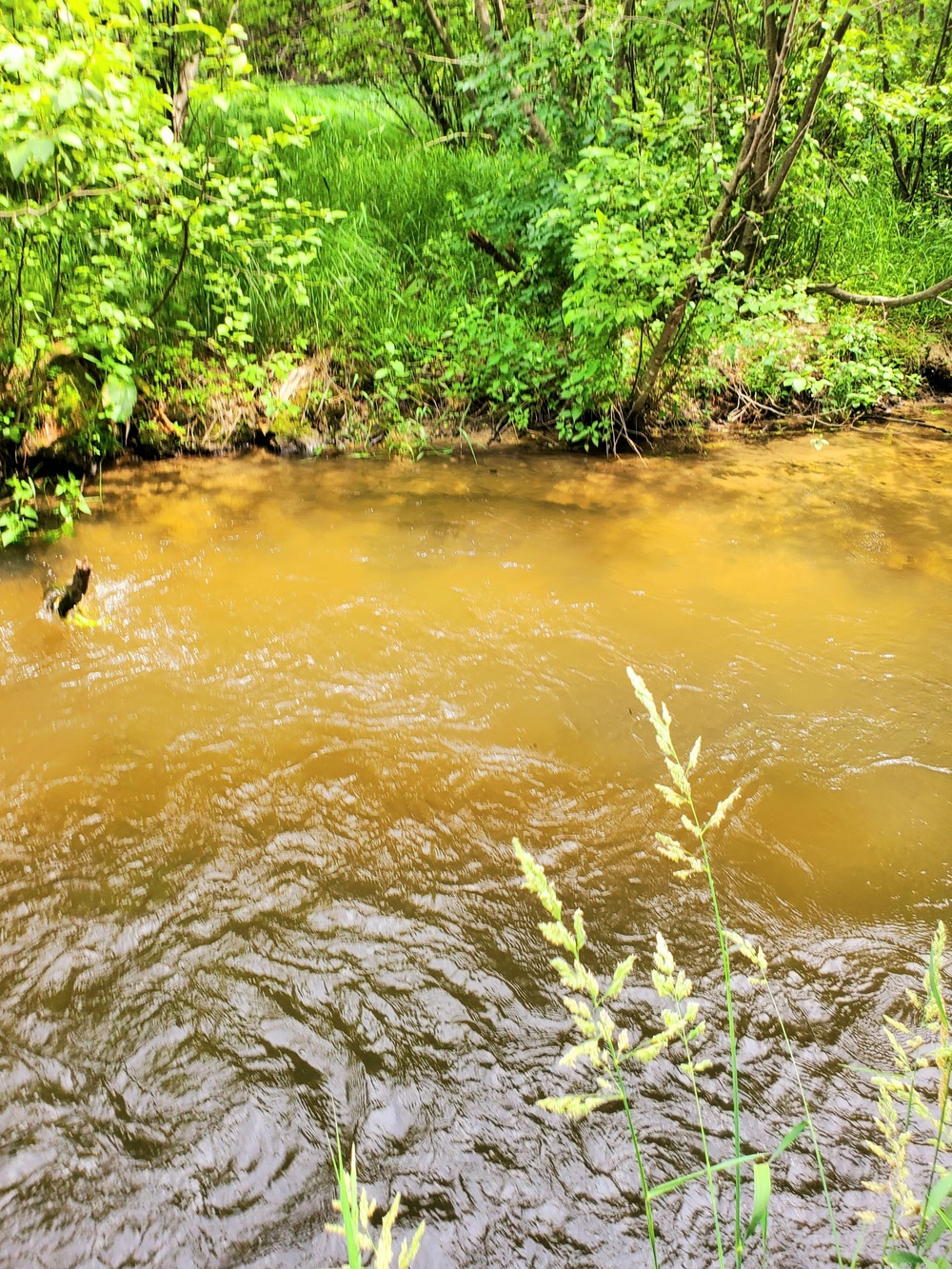 Fort McCoy's Tarr Creek