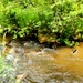 Fort McCoy's Tarr Creek