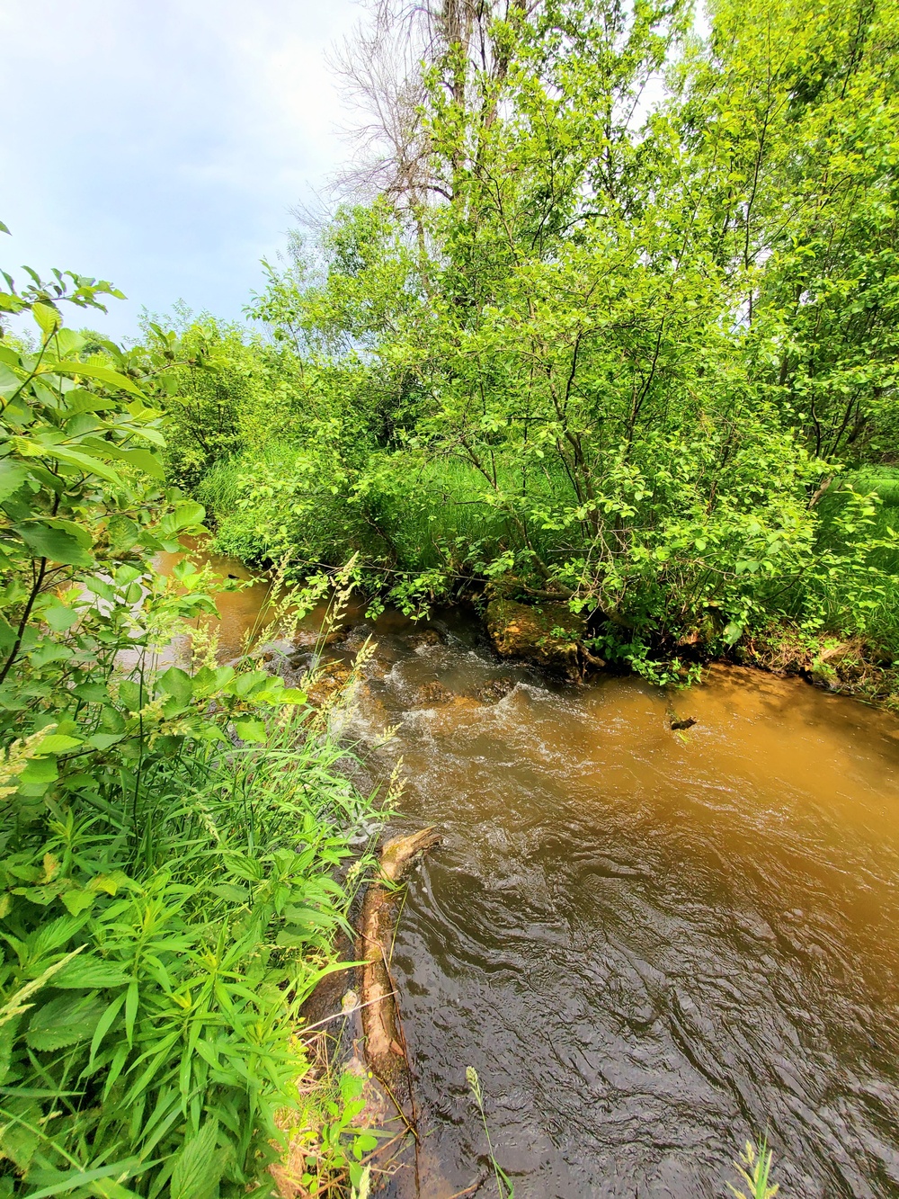 Fort McCoy's Tarr Creek