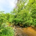Fort McCoy's Tarr Creek