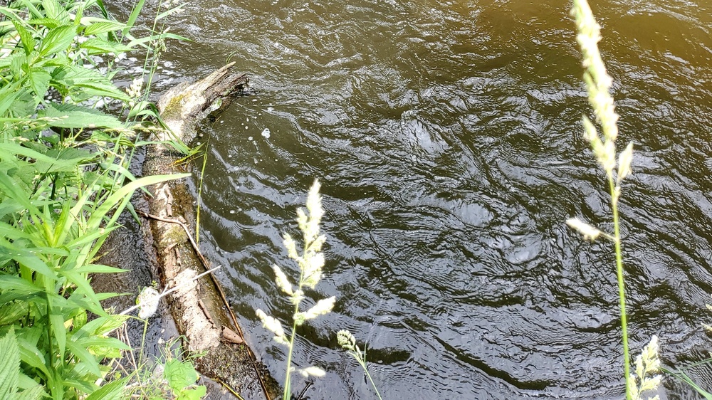Fort McCoy's Tarr Creek